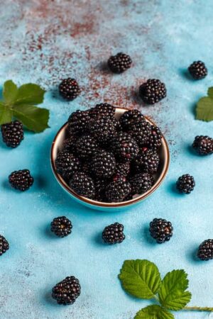 Boysenberry
